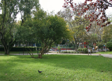 Parque Delfim Guimar&atilde;es
