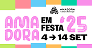 imagem festas 300